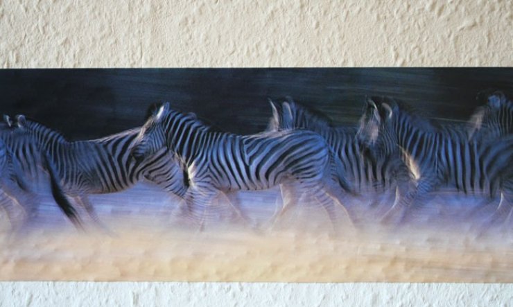 und die fertig gekaufte bordüre mit galoppierenden zebras