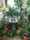 Terrasse / Balkon 'Mein Mini-Garten'
