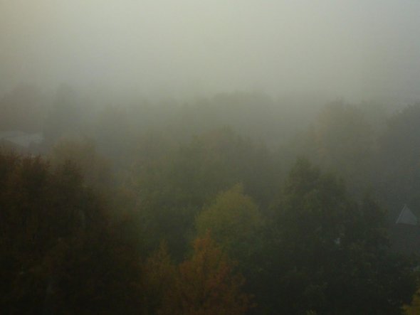 Lasst die Nebel schweifen,
die Winde über die Landschaft pfeifen.
Nichts dauert eine Ewigkeit,
genießt einfach die Zeit.