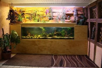 Aquariumzimmer