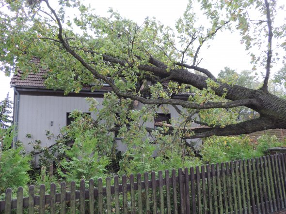 Leider fiel der Baum genau mittig auf das komplette Dach. Es ist nicht mehr zu retten.